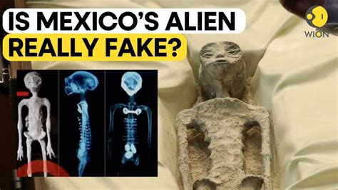 are the mexican aliens fake
